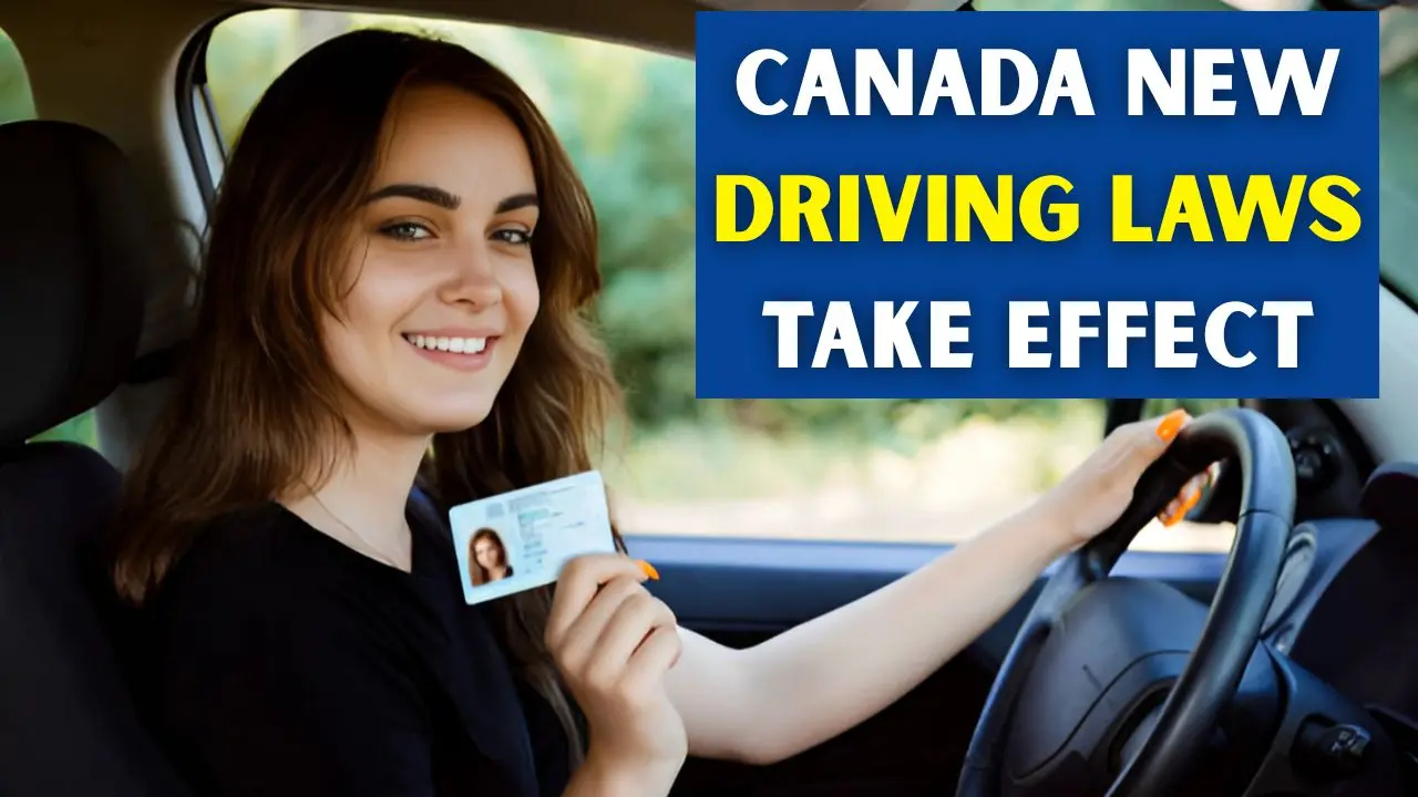 Canada New Driving Laws Take Effect